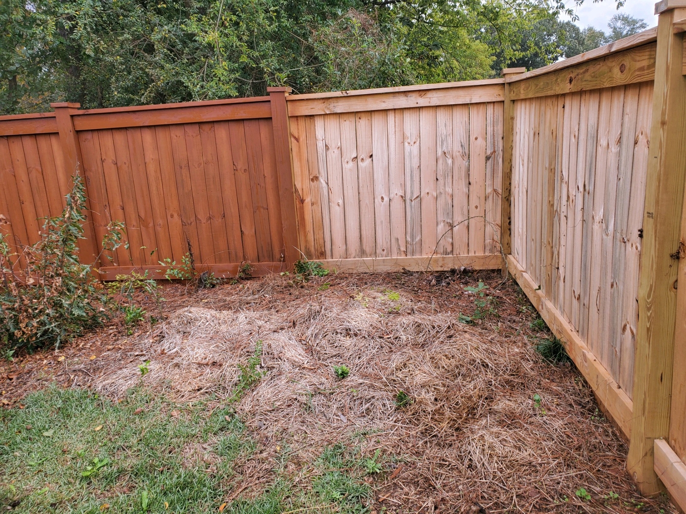 McIntyre Fencing And Decking 50